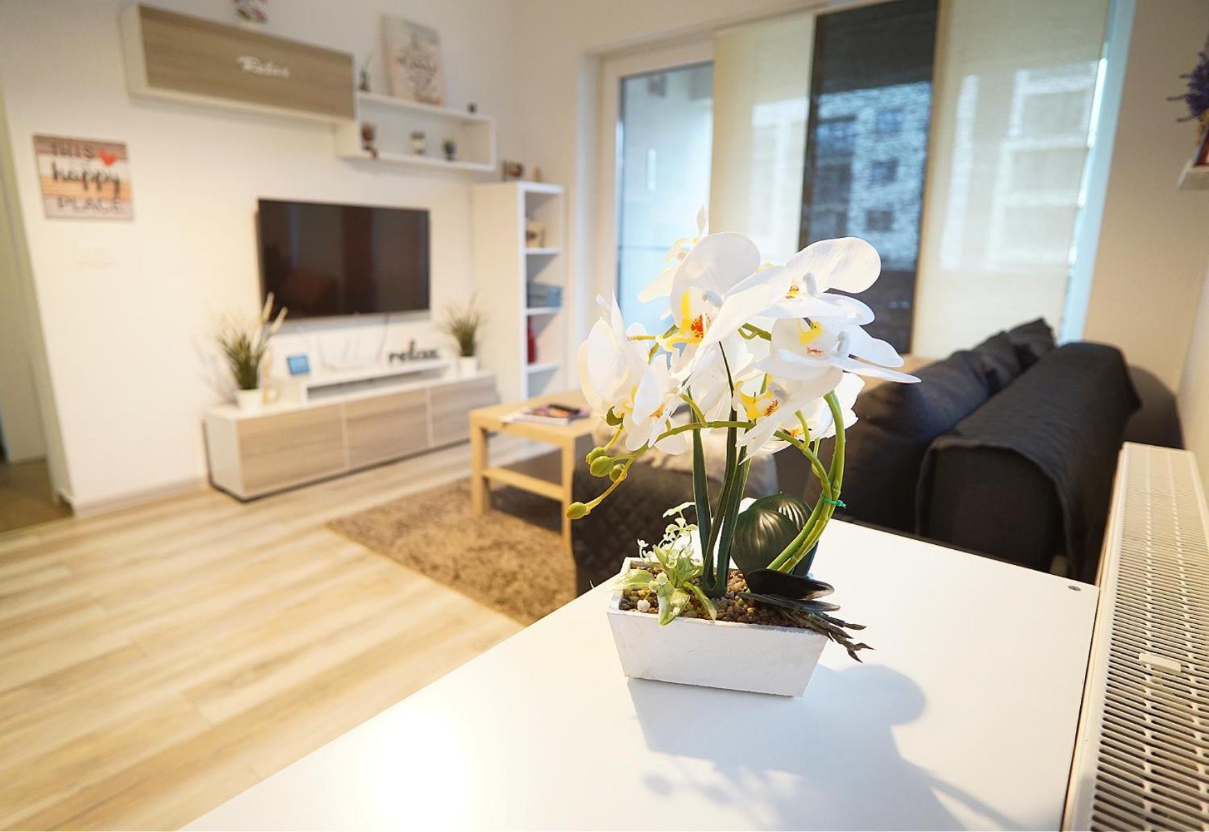 Relaxing Coresi Place Apartment